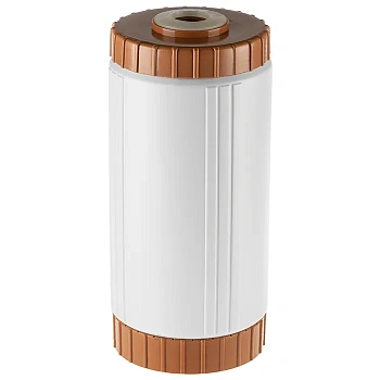 Гейзер RsFe 10ВВ